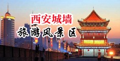 丁字裤大鸡巴中国陕西-西安城墙旅游风景区